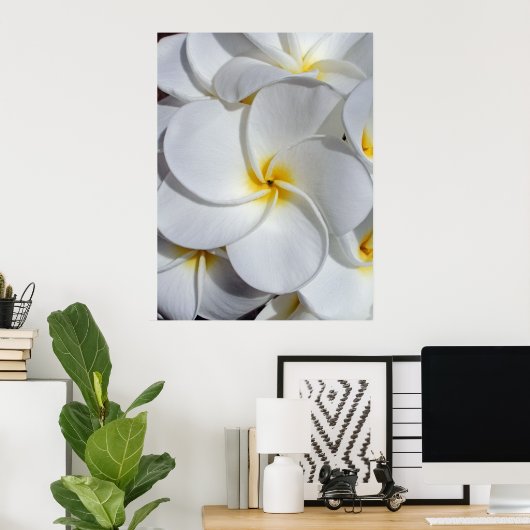 Hawaiian Frangipani Poster (Heimbüro)