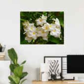 Hawaiian Frangipani Poster (Heimbüro)