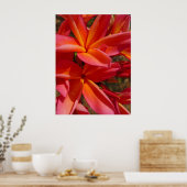 Hawaiian Frangipani Poster (Küche)