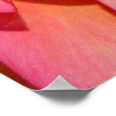 Hawaiian Frangipani Poster (Ecke)