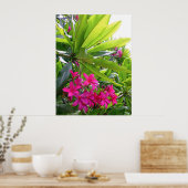 Hawaiian Frangipani Poster (Küche)