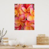 Hawaiian Frangipani Poster (Küche)