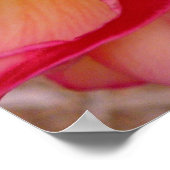 Hawaiian Frangipani Poster (Ecke)