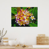 Hawaiian Frangipani Poster (Küche)