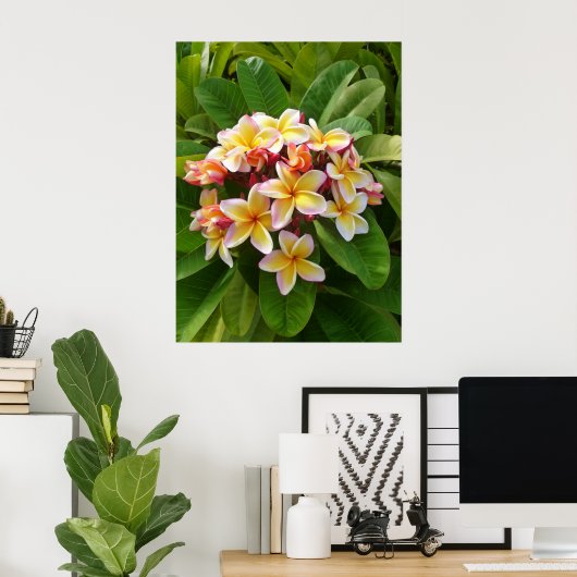 Hawaiian Frangipani Poster (Heimbüro)