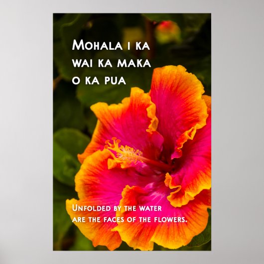 Hawaiian Fuchsia und Orange Hibiskus Motivierend Poster (Vorne)