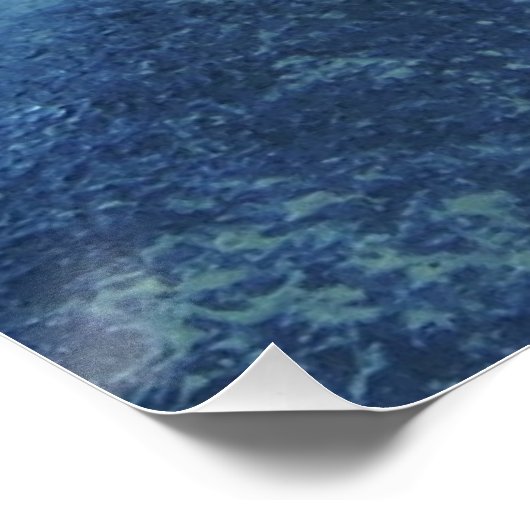 Hawaiian Gecko Poster (Ecke)