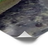 Hawaiian Gecko Poster (Ecke)