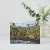 Hawaiian Getaway Postkarte (Stehend Vorderseite)