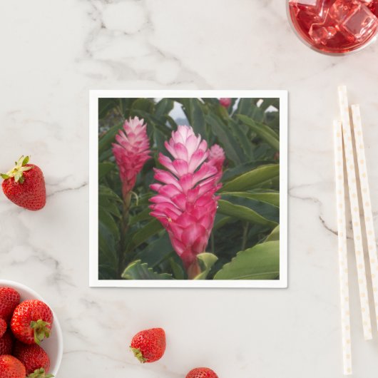 Hawaiian Ginger Napkins Serviette (Beispiel)