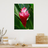 Hawaiian Ginger Poster (Küche)