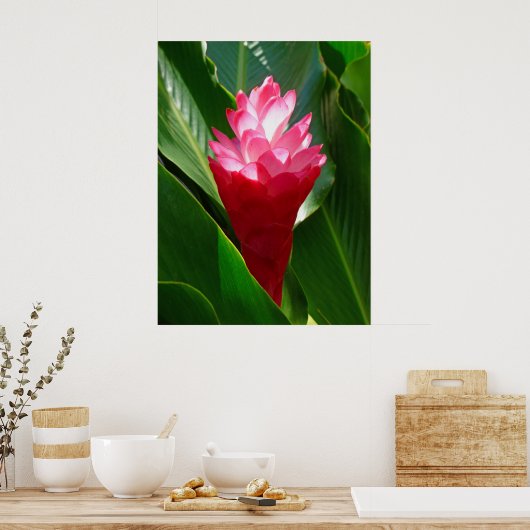 Hawaiian Ginger Poster (Küche)
