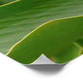 Hawaiian Ginger Poster (Ecke)