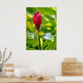 Hawaiian Ginger Poster (Küche)