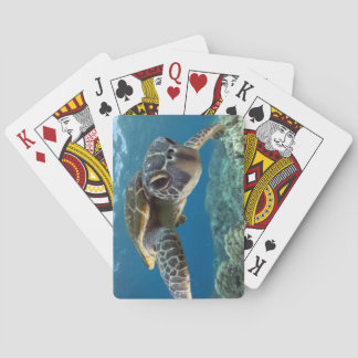 Hawaiian Green Sea Turtle Spielkarten