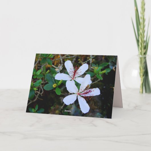 Hawaiian Happy Birthday White Hibiskus Card Karte (Rückseite)