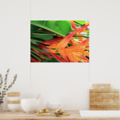 Hawaiian Heliconia Blume Poster (Küche)