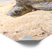 Hawaiian Honu Poster (Ecke)