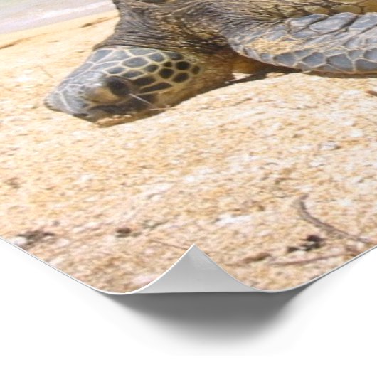 Hawaiian Honu Poster (Ecke)