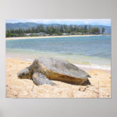 Hawaiian Honu Poster (Vorne)