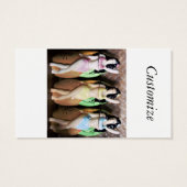 Hawaiian Hula Dancers Thunder_Cove (Rückseite)