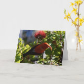Hawaiian 'I'iwi Karte (Gelbe Blume)