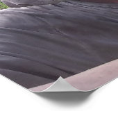 HAWAIIAN JUNGLE POSTER (Ecke)