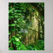 Hawaiian Jungle Vines Poster (Vorne)