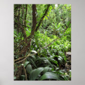Hawaiian Jungle Vines Poster (Vorne)