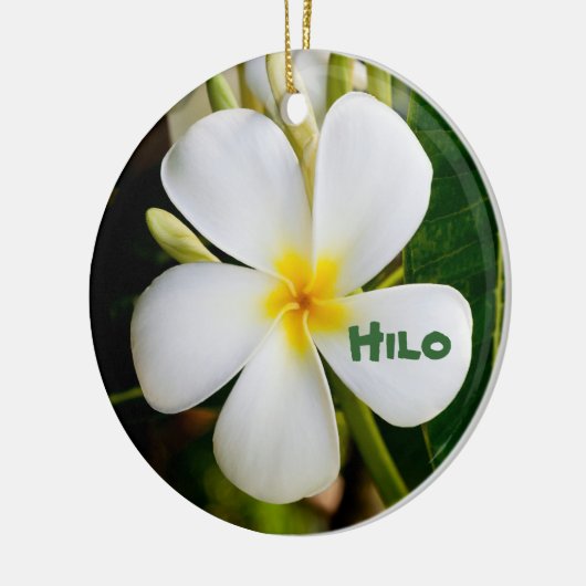 Hawaiian Keepake Keramikornament (Links)