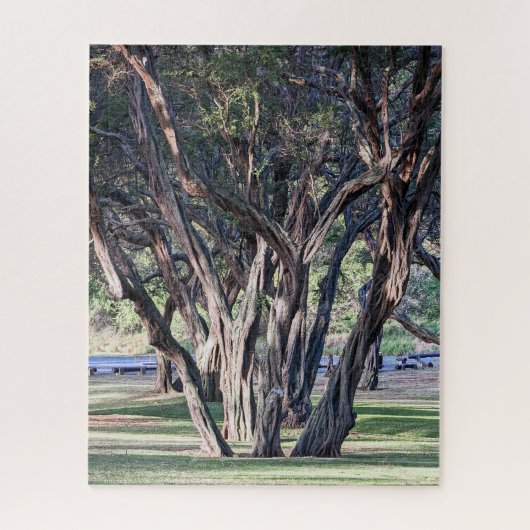 Hawaiian Kiawe Tree Jigsaw Puzzle (Vertikal)