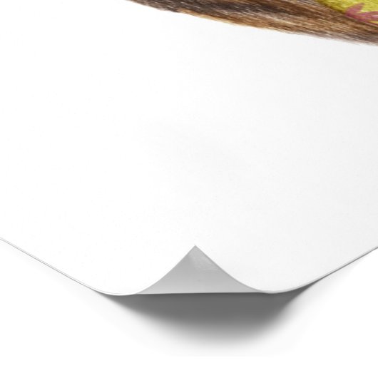 Hawaiian Kitty Cat Poster (Ecke)