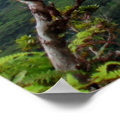 Hawaiian Koolau Poster (Ecke)