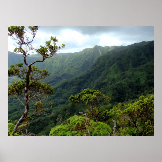 Hawaiian Koolau Poster (Vorne)
