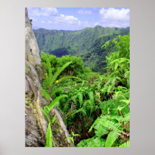 Hawaiian Koolau Poster