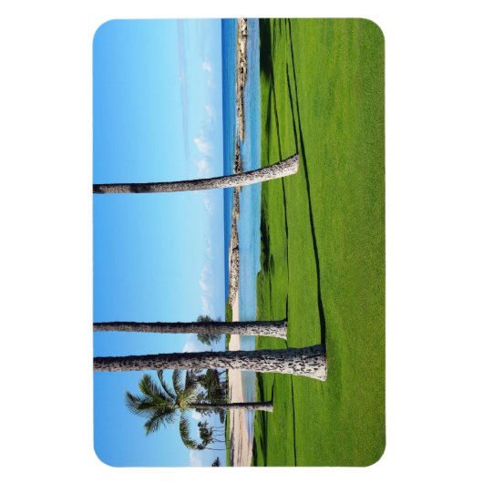 Hawaiian Lagoon Foto Magnet (Vertikal)