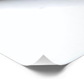 Hawaiian lizard Gecko Poster (Ecke)