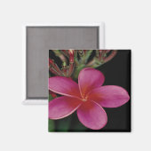 Hawaiian Magnet (Vorderseite/Rückseite)