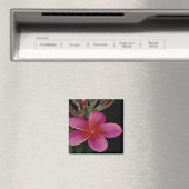 Hawaiian Magnet (In Situ (Geschirrspüler))