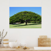 Hawaiian Majestic Tree Poster (Küche)