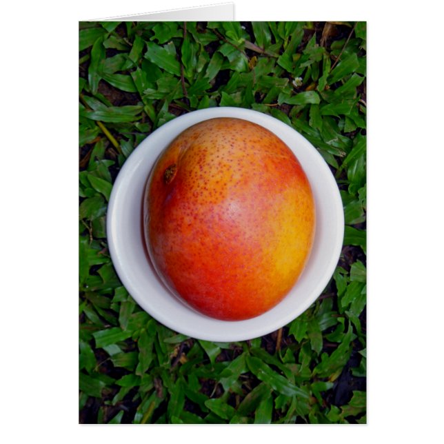 Hawaiian Mango (Vorne)