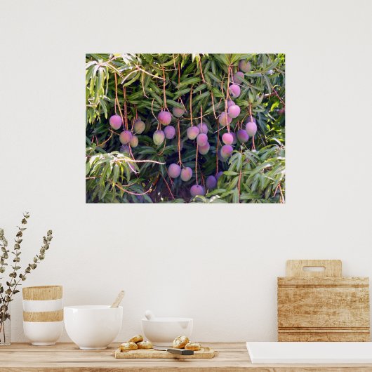 Hawaiian Mangoes Poster (Küche)