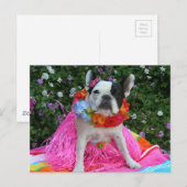 Hawaiian Midge Postkarte (Vorne/Hinten)