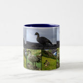 Hawaiian Nene Zweifarbige Tasse (Mittel)
