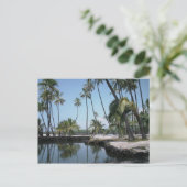 Hawaiian Oasis Postkarte (Stehend Vorderseite)