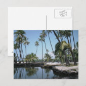 Hawaiian Oasis Postkarte (Vorne/Hinten)