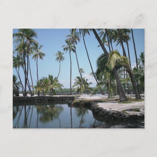 Hawaiian Oasis Postkarte (Vorderseite)