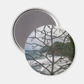 Hawaiian Ocean Beach Tree Foto View Magnet (Vorderseite/Rückseite)