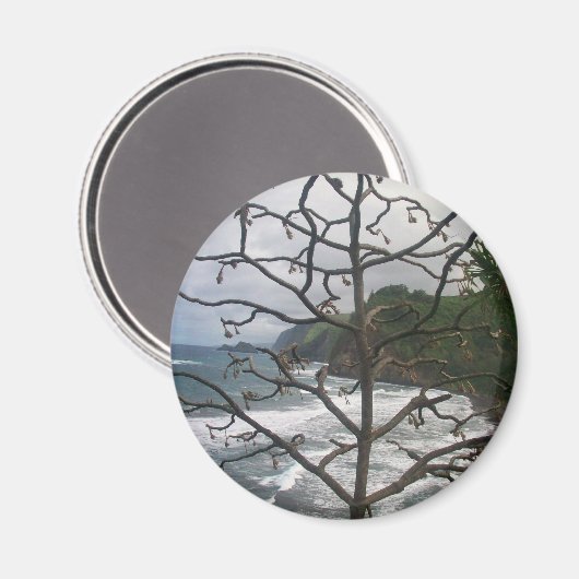Hawaiian Ocean Beach Tree Foto View Magnet (Vorderseite/Rückseite)