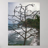 Hawaiian Ocean Beach Tree Foto View Poster (Vorne)